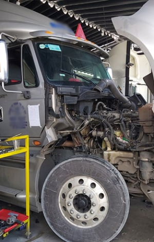 Sơn